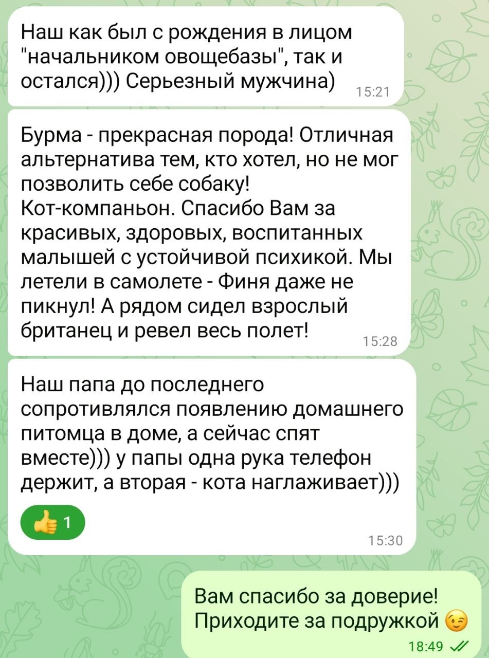 _eZiEp-pxmAM6ny0eabdJn07SquKq51P0_eWISX4OzH3MOEWtFOTEnJLBEBdFhm4NGu0-hkY_OxyMYSlCxWj9Pqx.jpg